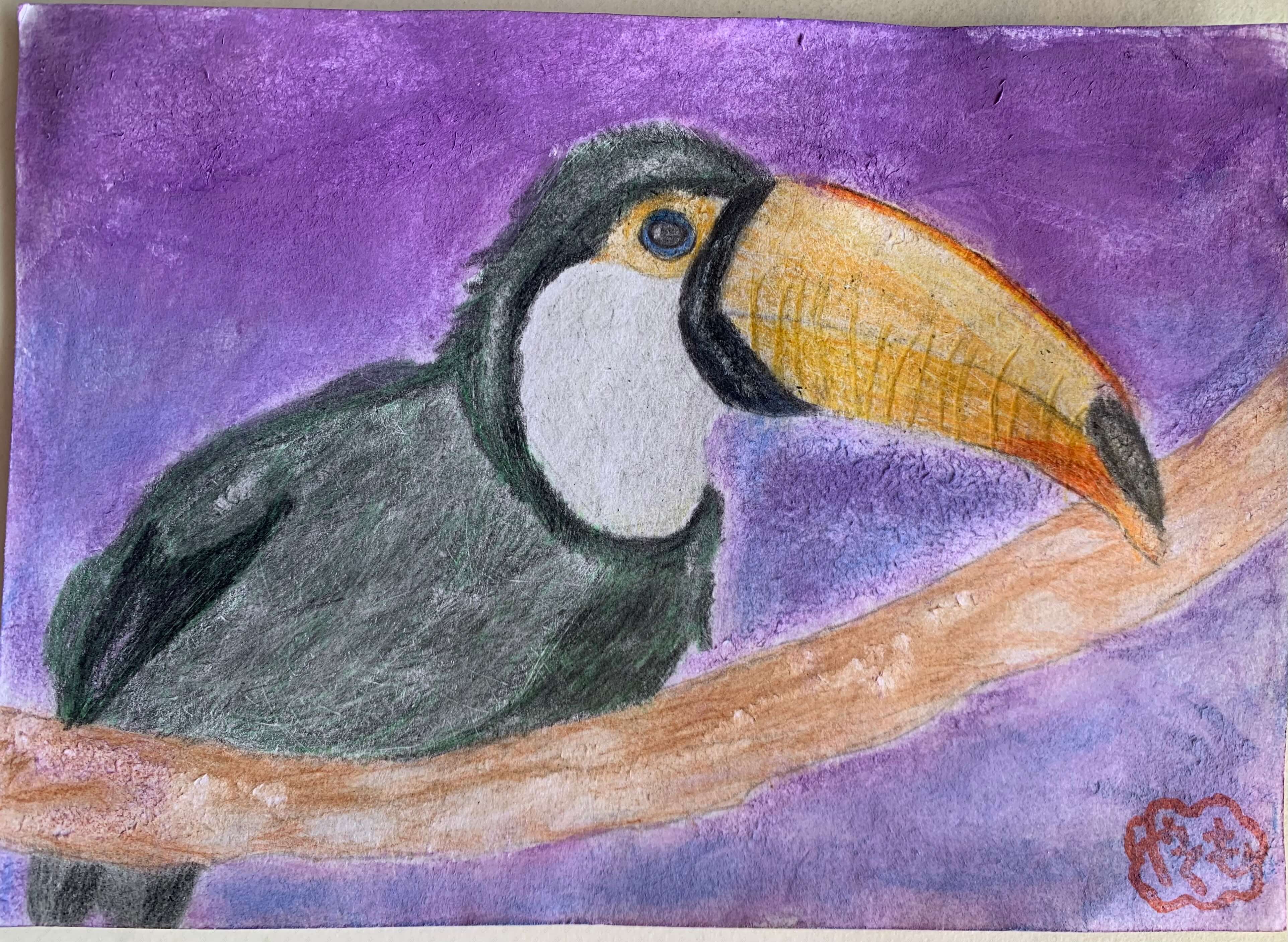 展示用絵画：夜のオオハシ [作者:片山八雲] – CANVAZ.ART SHOP