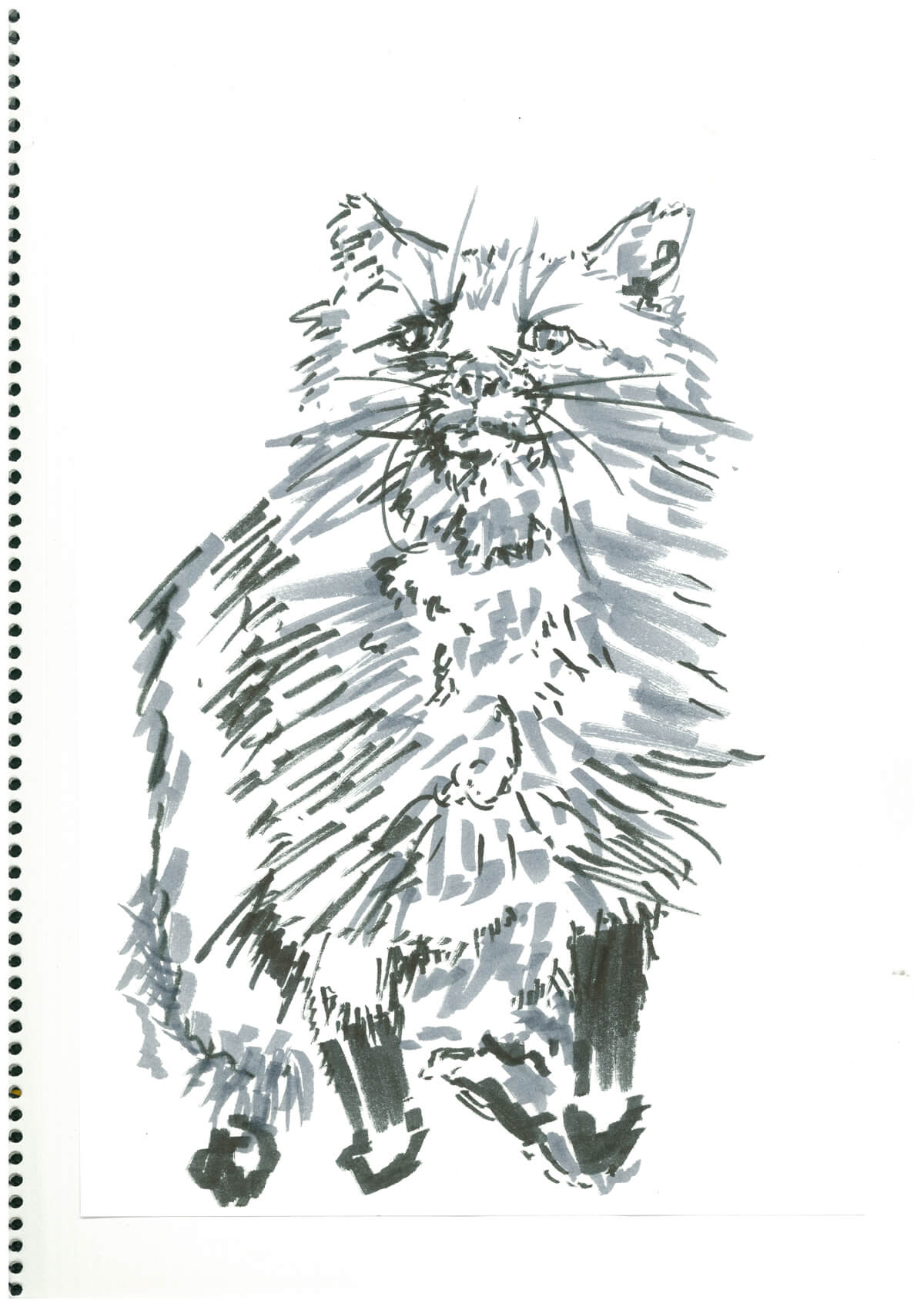 展示用絵画：毛物001 [作者:情報資格試験]