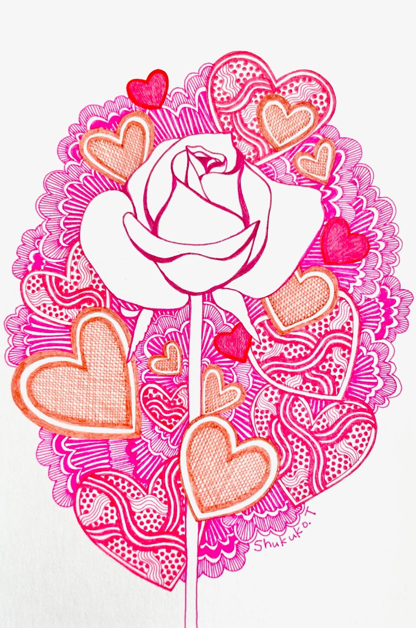 pink rose 　〜幸福〜 [作者:Shukuko.T]
