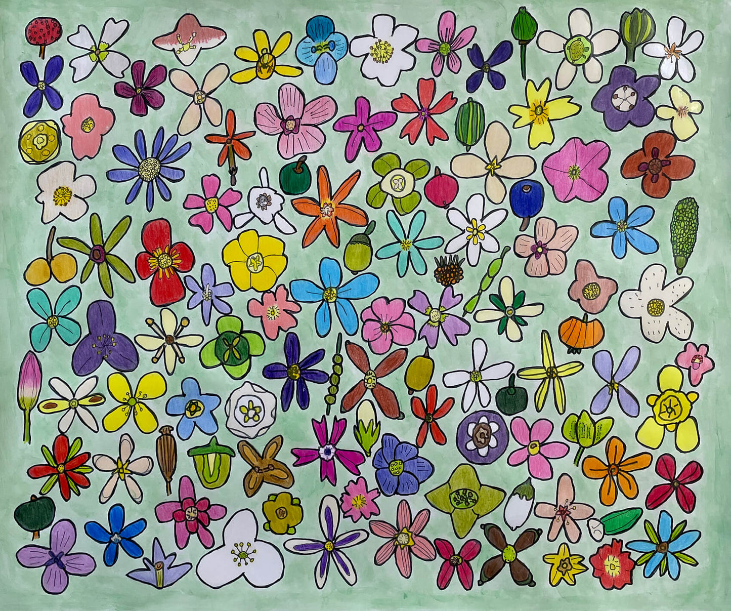 Heart-warming  flowers [作者:KODAI]