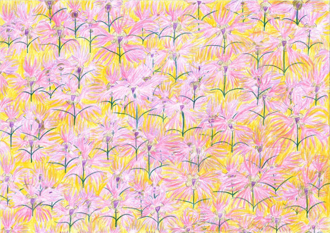 展示用絵画：ナデシコ [作者:ミネソタのたまご売り]