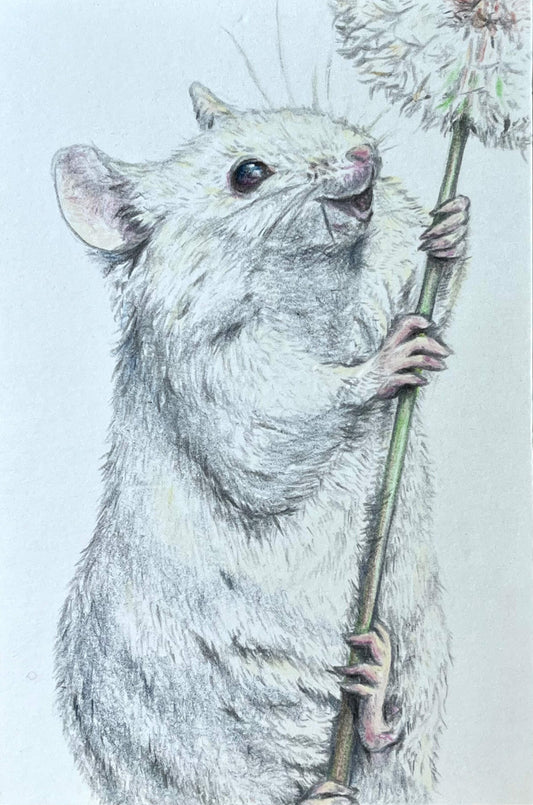 展示用絵画：ふわふわみいつけた [作者:藤田 晶]