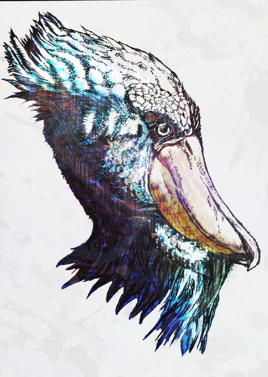 展示用絵画：ハシビロコウ [作者:3210]