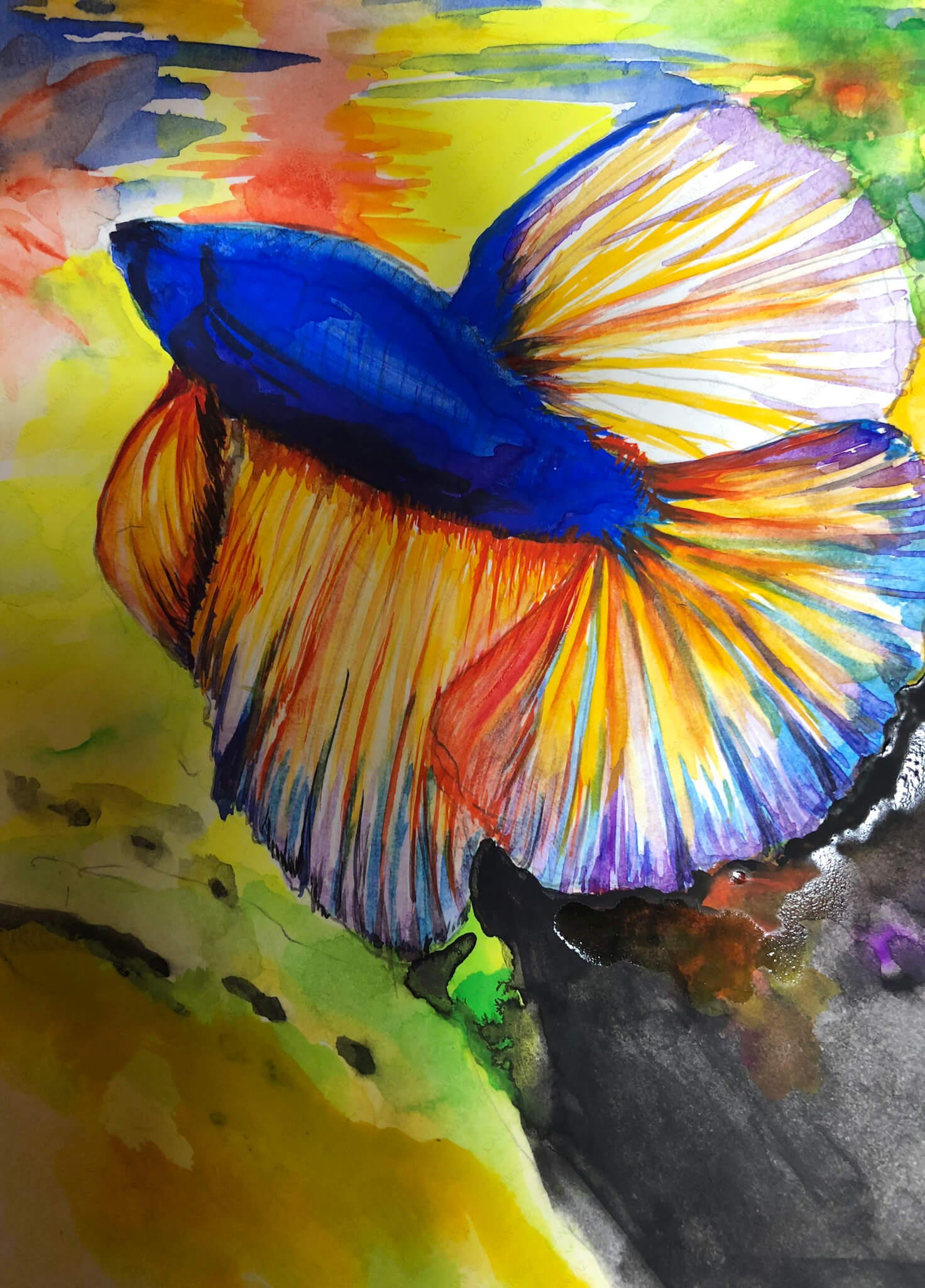 にしのいさお A4複製画「赤い魚」 | スタックボード