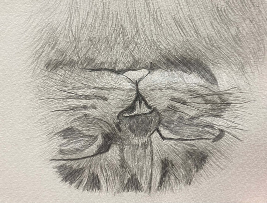 展示用絵画：ひざの上で眠る愛猫 [作者:マミードラゴン]