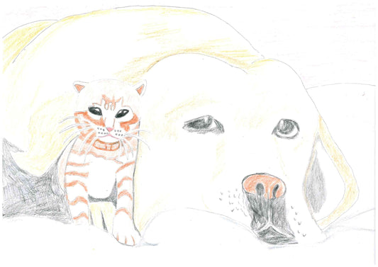 展示用絵画：僕の友達 [作者:猫職人]