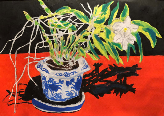 展示用絵画：デンドロビウムの鉢植 [作者:長井重丸]