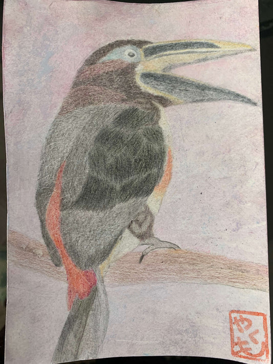 展示用絵画：チャミミチュウハシ [作者:片山八雲]