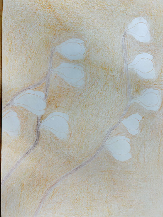 展示用絵画：木蓮 [作者:河野生一]